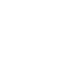 brain-icon2