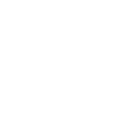 icon-thermometer